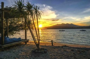 THE REEF On Gili Meno