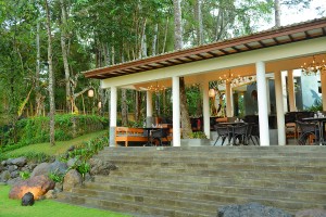 The Sayan House