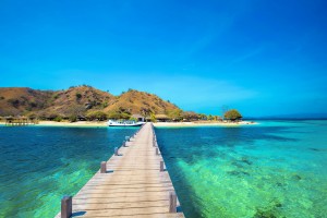 PULAU FLORES