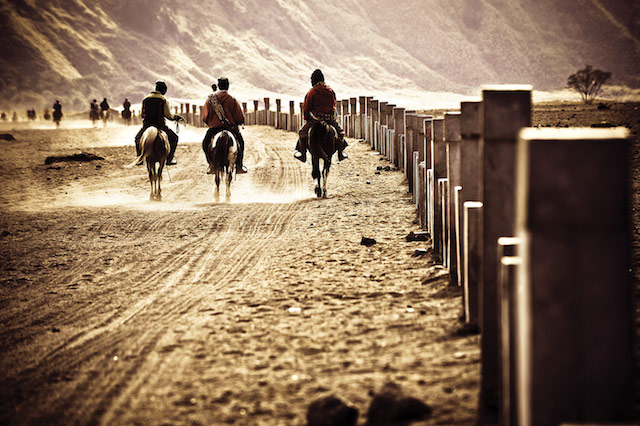 horsemen-riding-in-Desert,-going-back-to-home,-java-indonesia