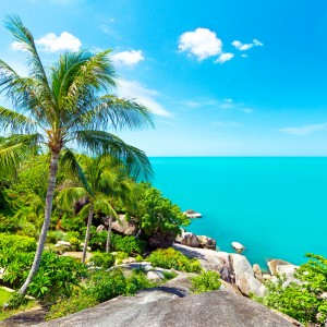A Blissful Holiday at Koh Samui