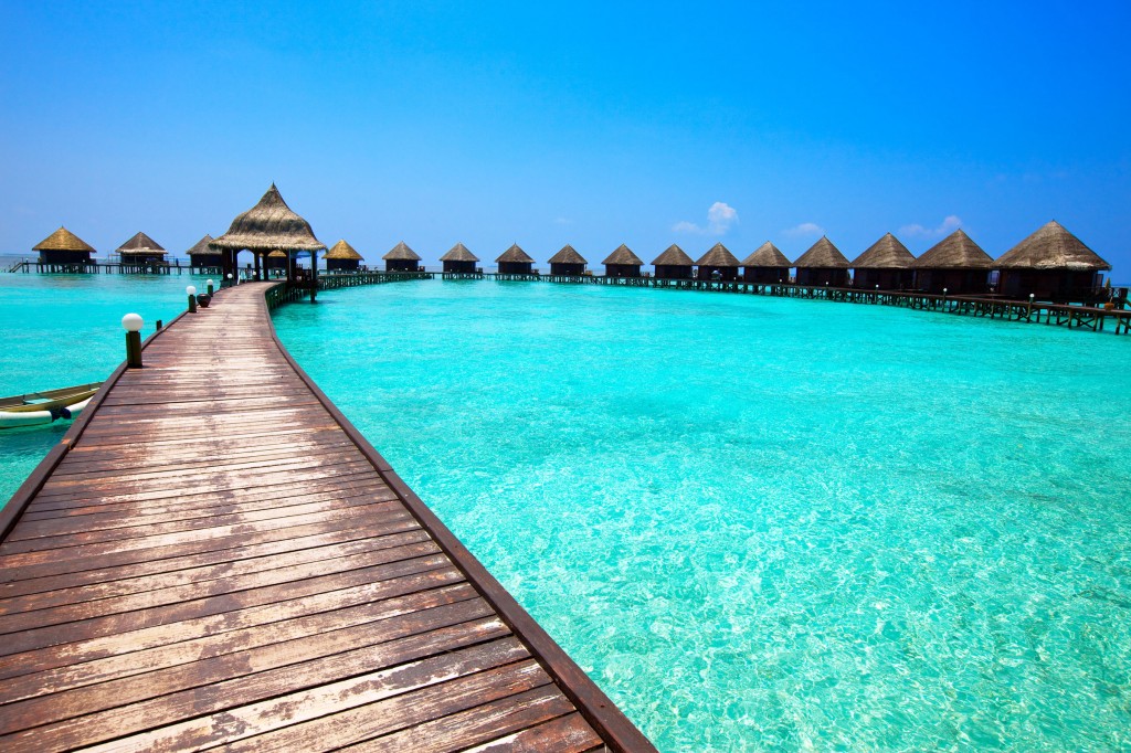 Maldives_tropicallife