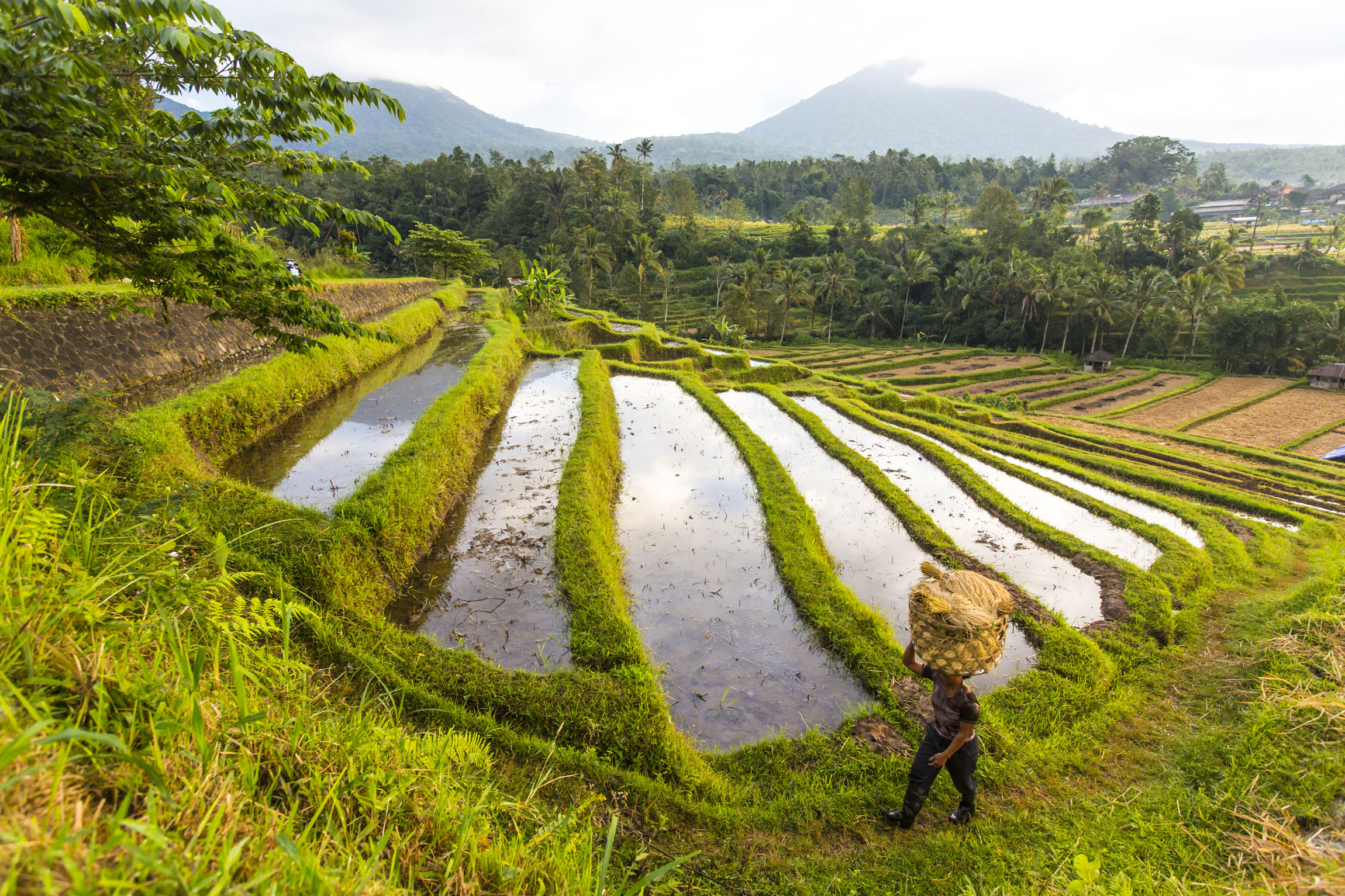 A Feast of Food in Paradise: Ubud’s Dining Extravaganza