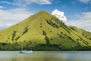 Komodo National Park & the Surrounding Islands