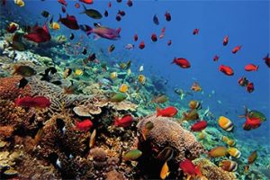 5 “BEST PICTURESQUE PLACES IN BALI ”