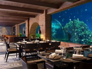 Koral Wins The World’s #1 Picture-Perfect Restaurant