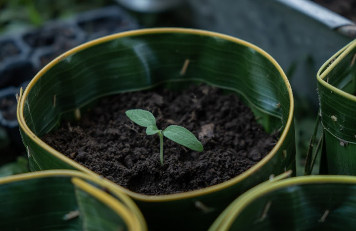 <strong>The Apurva Kempinski Bali</strong> <strong>Launches ‘Apurva Kempinski’s Sustainable Agriculture Program’</strong>