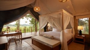 A Newly-Opened Luxury Tented Camp in Thailand